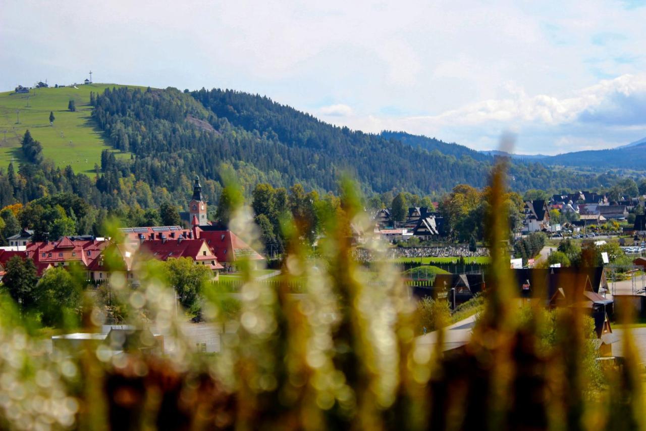 Domki W Bialce Pod Kotelnica Бялка-Татшанська Екстер'єр фото